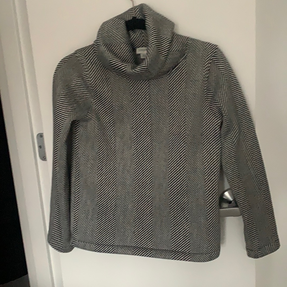 J Crew Turtleneck